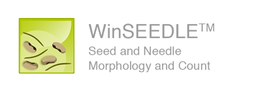 seed, needle morphology, count