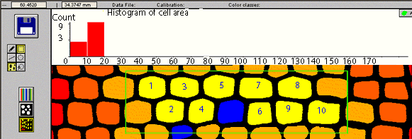 cell analysis, wood cell, WinCELL, XLCell